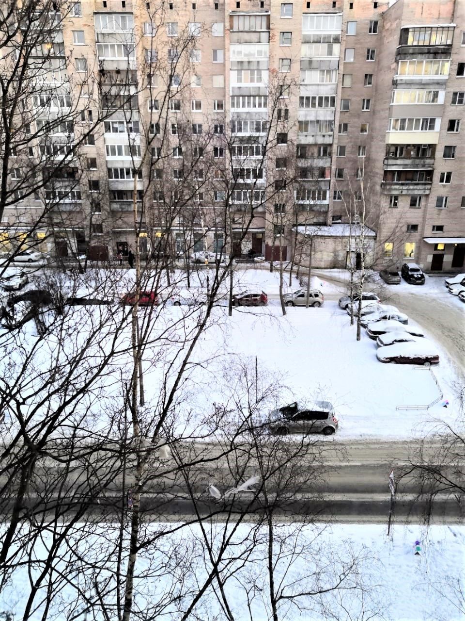 однокомнатная квартира в Санкт-Петербурге по адресу: Шотмана ул., 12, к 1