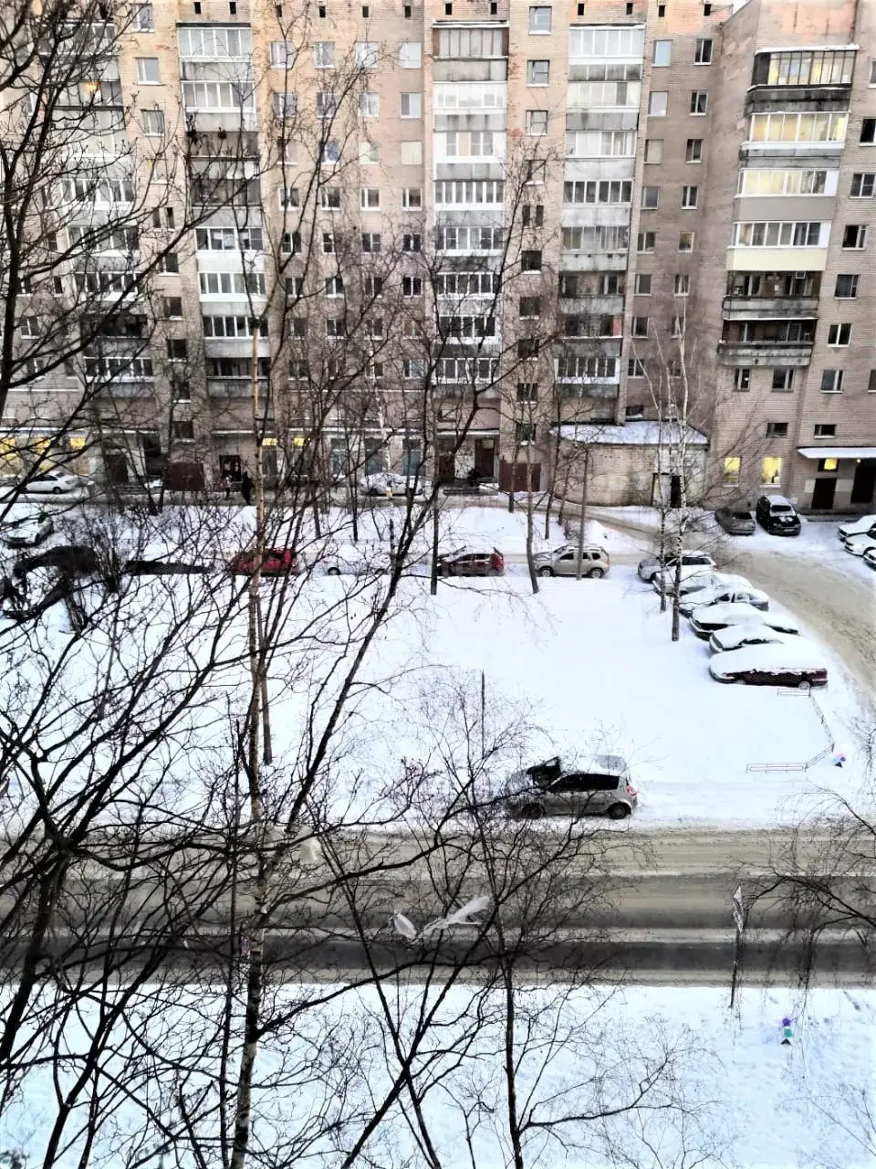 однокомнатная квартира в Санкт-Петербурге по адресу: Шотмана ул., 12, к 1