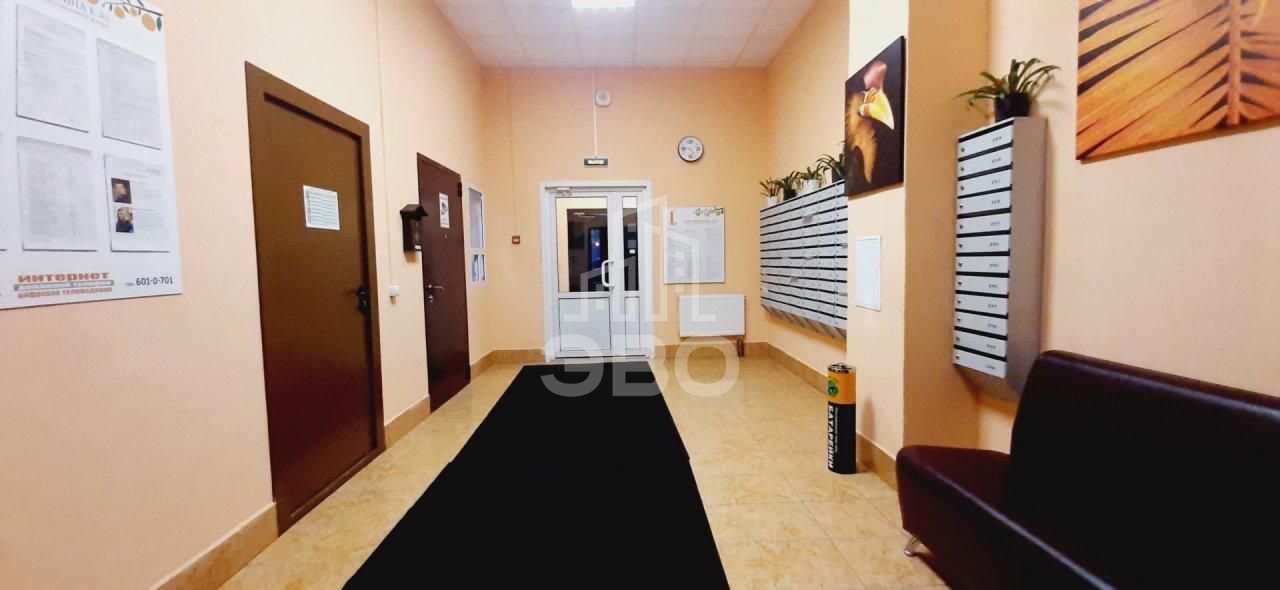 студия в Санкт-Петербурге по адресу: Заречная ул., 11, к 4