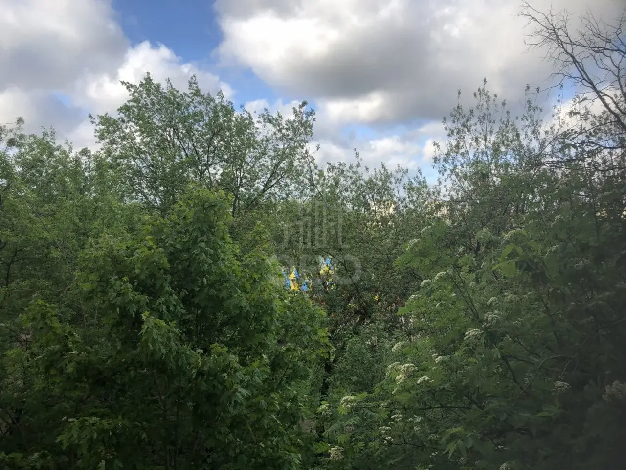 трехкомнатная квартира в Санкт-Петербурге по адресу: Белградская ул., 16