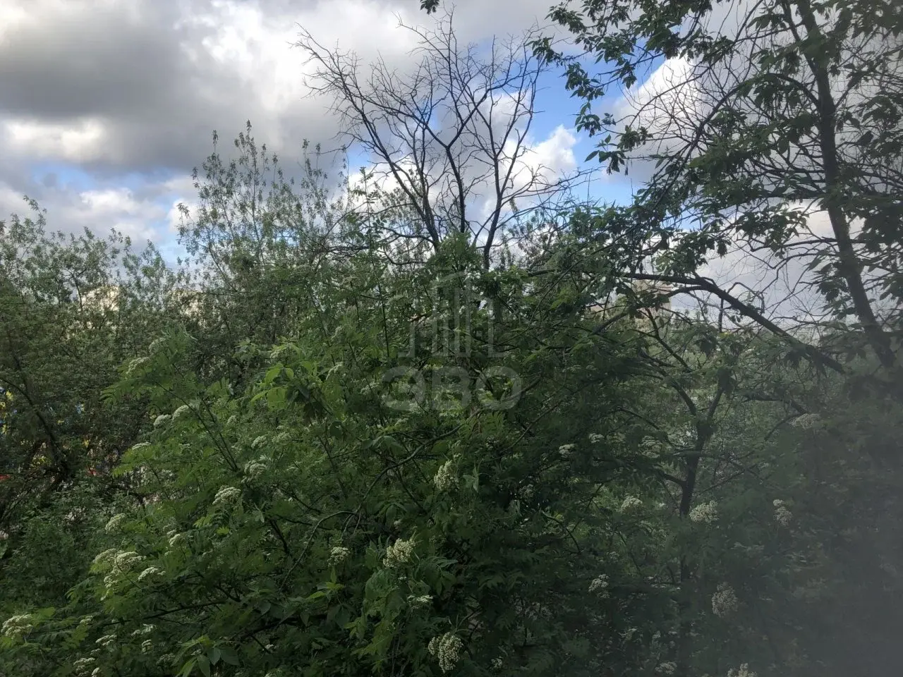 трехкомнатная квартира в Санкт-Петербурге по адресу: Белградская ул., 16