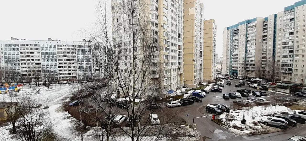 трехкомнатная квартира в Санкт-Петербурге по адресу: Богатырский проспект, 41, к 1
