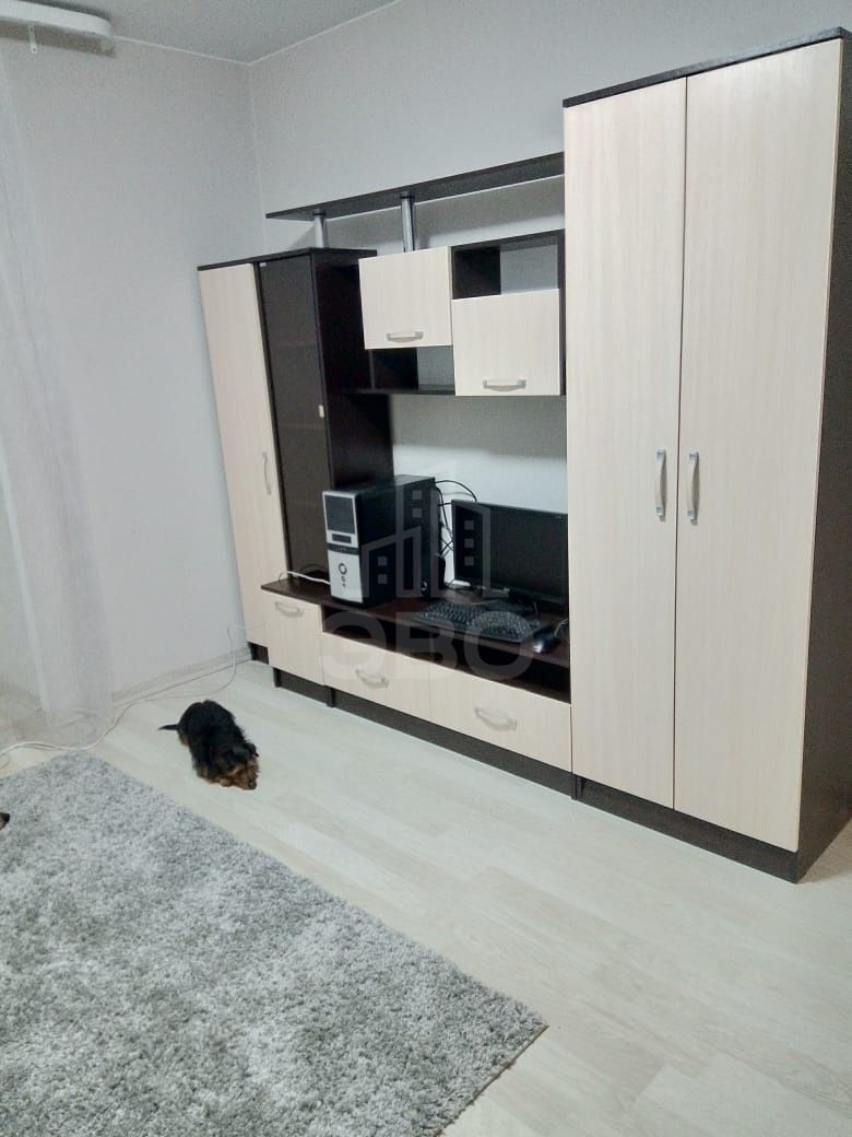 однокомнатная квартира в Санкт-Петербурге по адресу: Школьная ул., 6, к 2