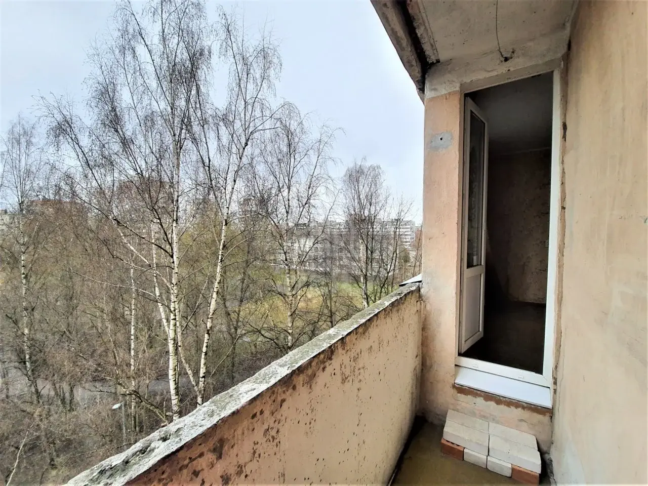 однокомнатная квартира в Санкт-Петербурге по адресу: Кустодиева ул., 4, к 2
