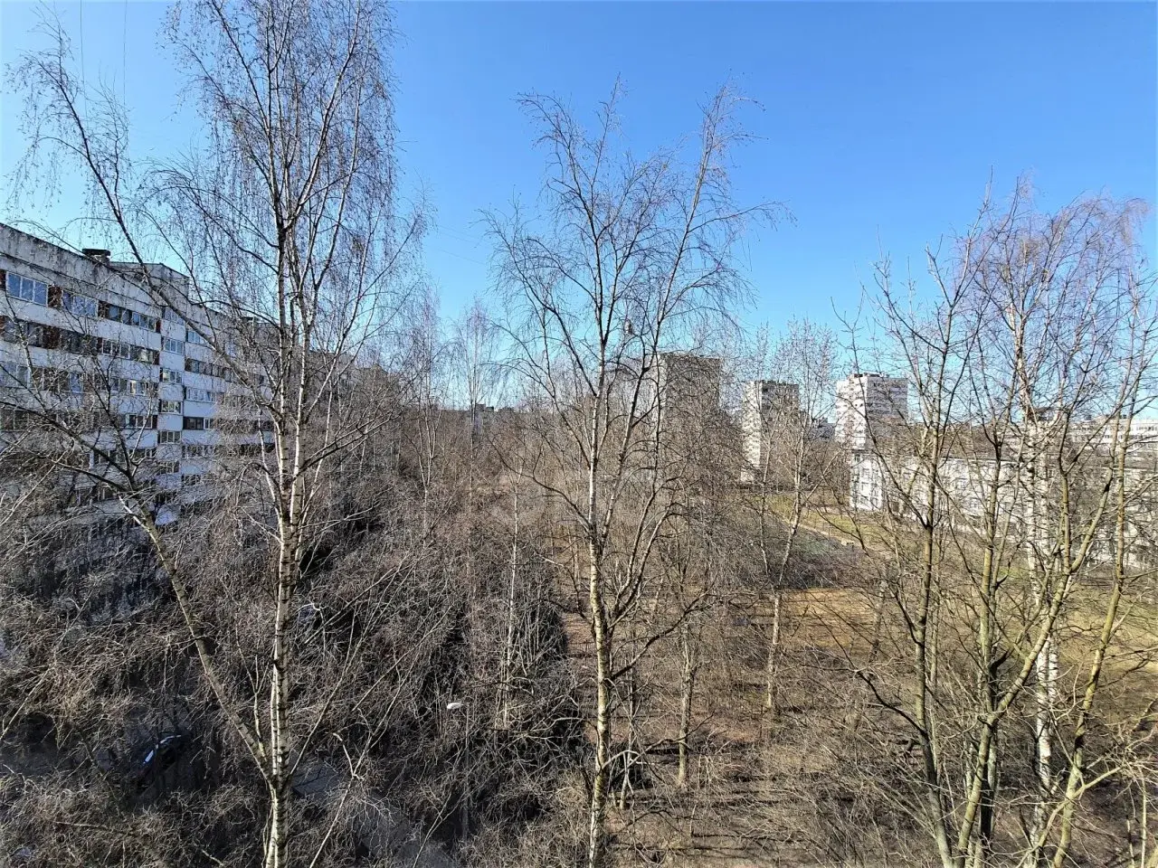 однокомнатная квартира в Санкт-Петербурге по адресу: Кустодиева ул., 4, к 2