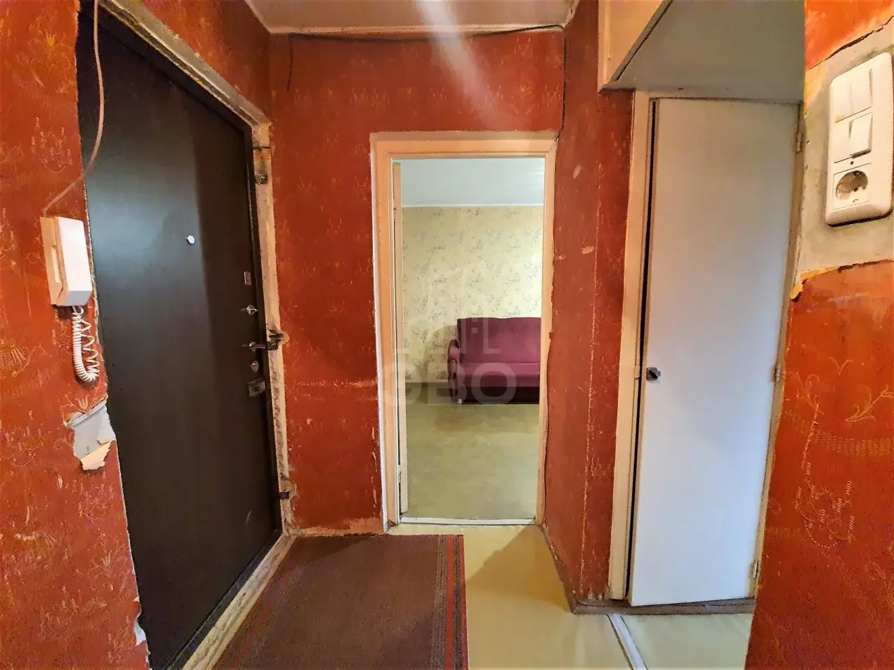 однокомнатная квартира в Санкт-Петербурге по адресу: Кустодиева ул., 4, к 2
