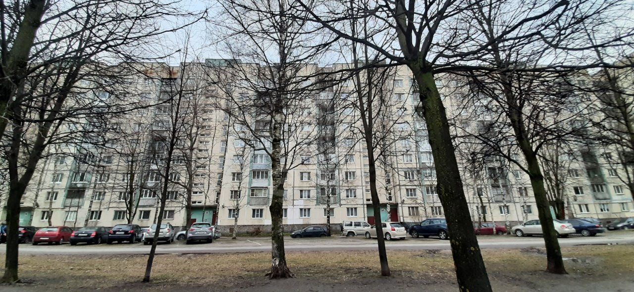 однокомнатная квартира в Санкт-Петербурге по адресу: Просвещения проспект, 7, к 1