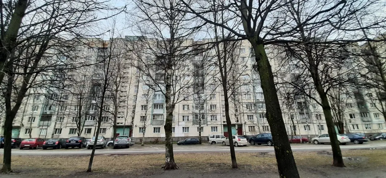 однокомнатная квартира в Санкт-Петербурге по адресу: Просвещения проспект, 7, к 1