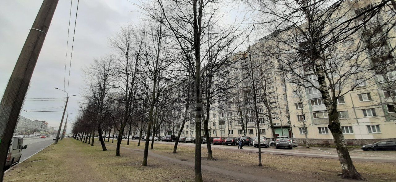 однокомнатная квартира в Санкт-Петербурге по адресу: Просвещения проспект, 7, к 1