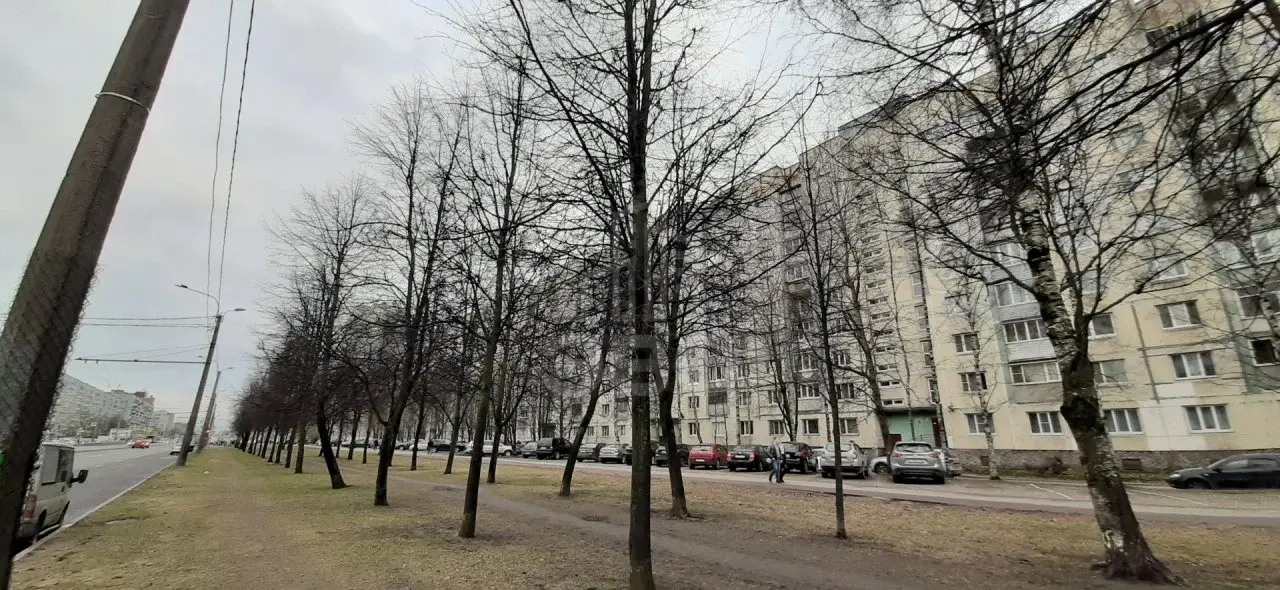 однокомнатная квартира в Санкт-Петербурге по адресу: Просвещения проспект, 7, к 1