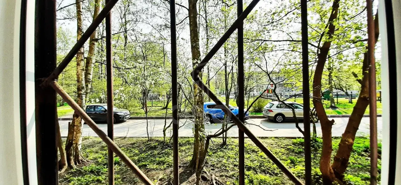 двухкомнатная квартира в Санкт-Петербурге по адресу: Революции ш., 33, к 3