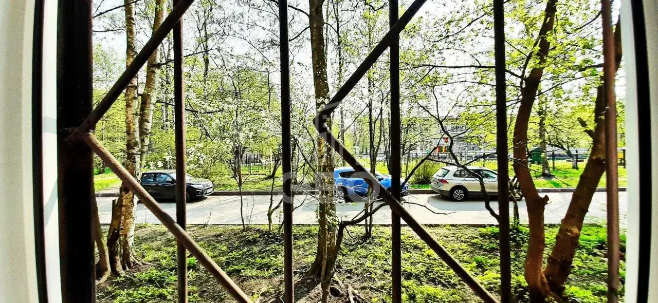 двухкомнатная квартира в Санкт-Петербурге по адресу: Революции ш., 33, к 3