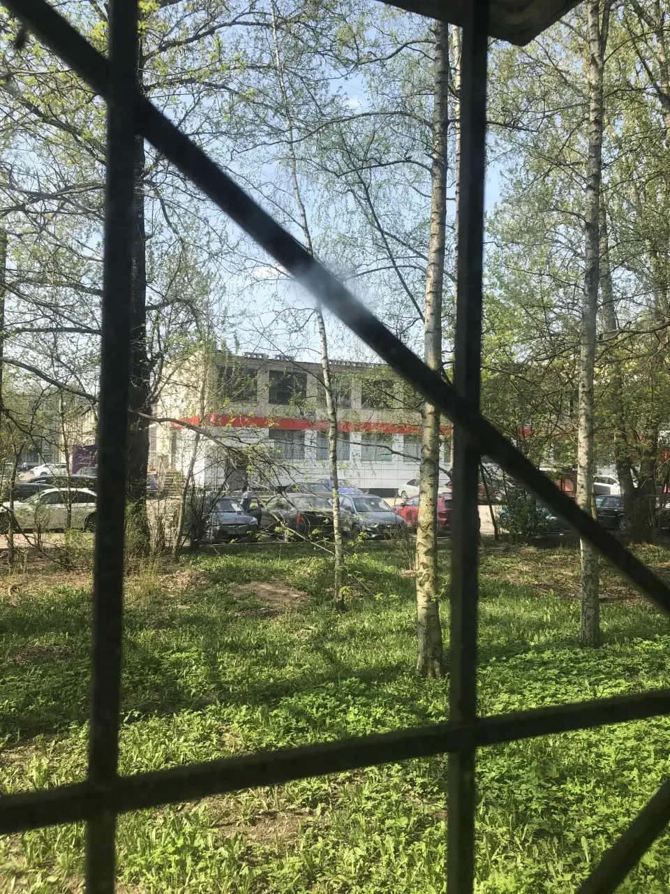 двухкомнатная квартира в Санкт-Петербурге по адресу: Стойкости ул., 4