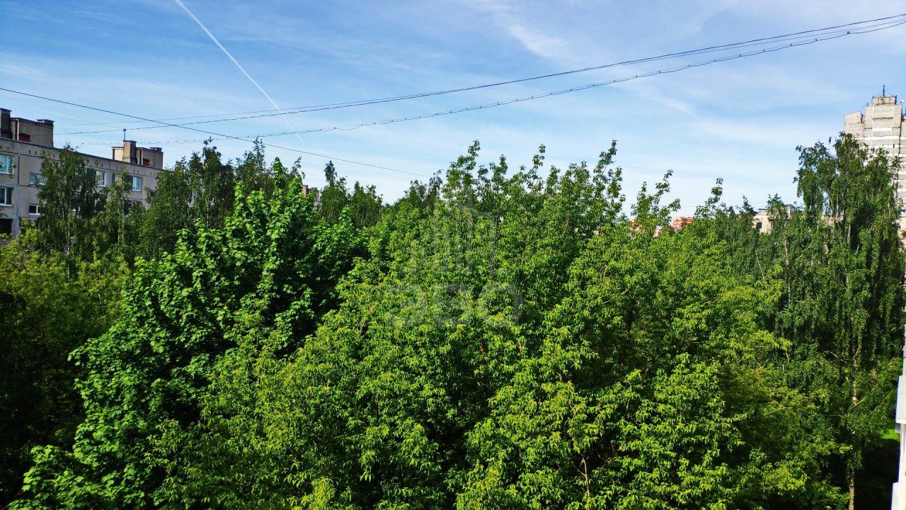 однокомнатная квартира в Санкт-Петербурге по адресу: Испытателей проспект, 20