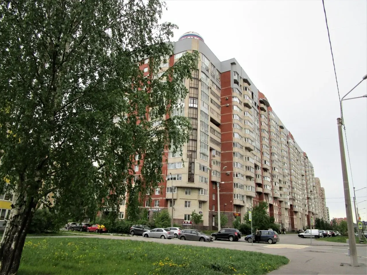 однокомнатная квартира в Санкт-Петербурге по адресу: Новоколомяжский проспект, 11
