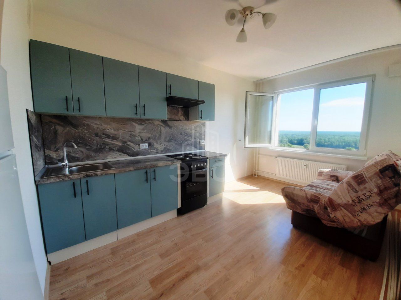 однокомнатная квартира в Санкт-Петербурге по адресу: Муринская дор., 10, к 1