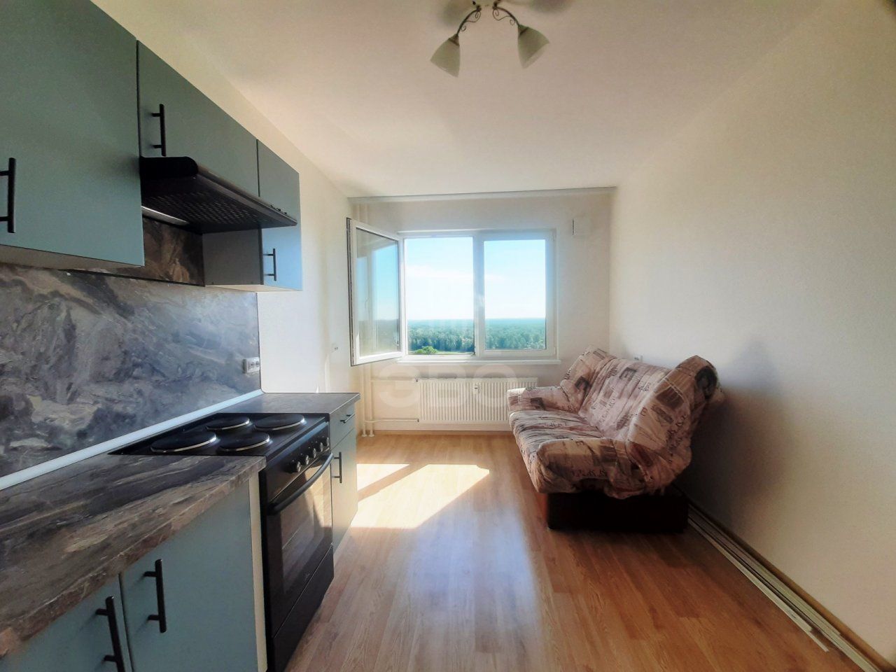 однокомнатная квартира в Санкт-Петербурге по адресу: Муринская дор., 10, к 1