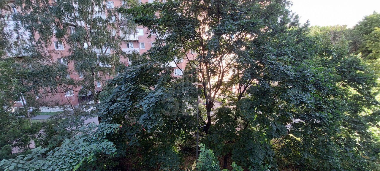 однокомнатная квартира в Санкт-Петербурге по адресу: Верности ул., 7