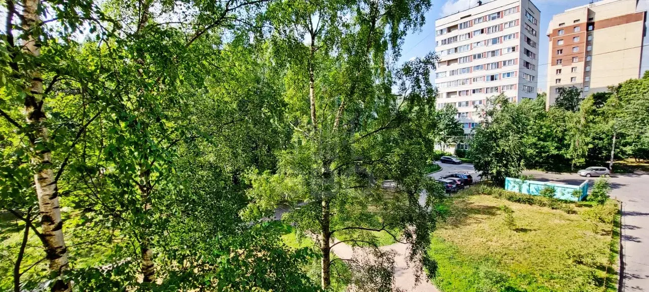 трехкомнатная квартира в Санкт-Петербурге по адресу: Гражданский проспект, 110, к 4