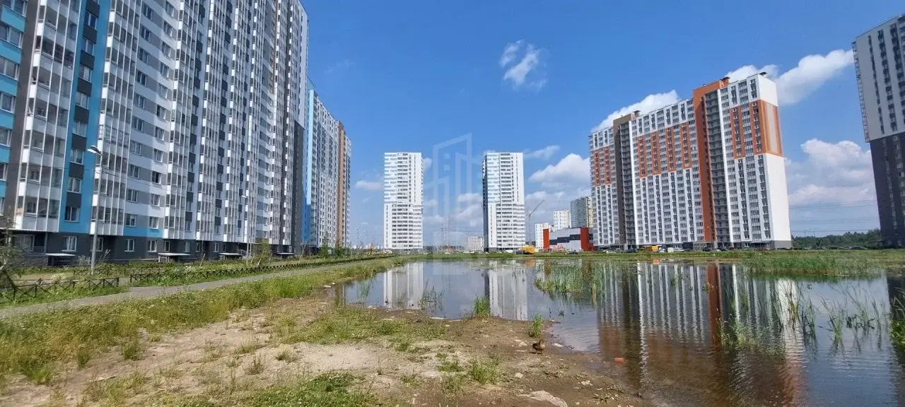 однокомнатная квартира в Санкт-Петербурге по адресу: Чарушинская ул., 10
