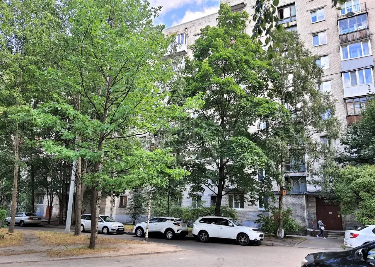однокомнатная квартира в Санкт-Петербурге по адресу: Руставели ул., 58, к 1