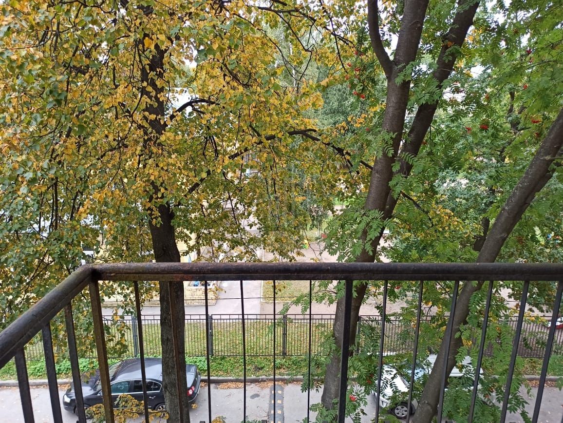 однокомнатная квартира в Санкт-Петербурге по адресу: Новочеркасский проспект, 46