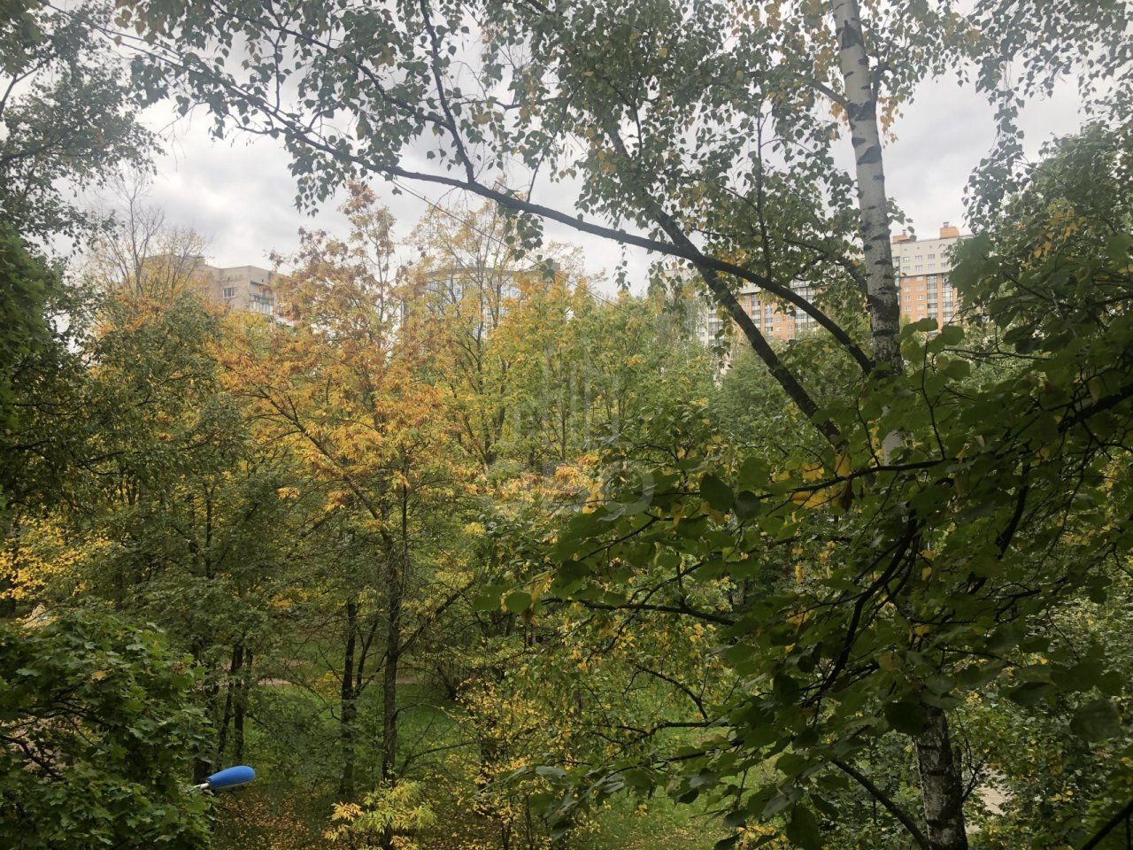 однокомнатная квартира в Санкт-Петербурге по адресу: Космонавтов проспект, 68, к 1