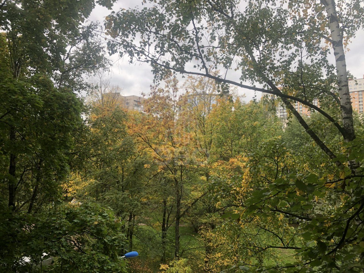 однокомнатная квартира в Санкт-Петербурге по адресу: Космонавтов проспект, 68, к 1