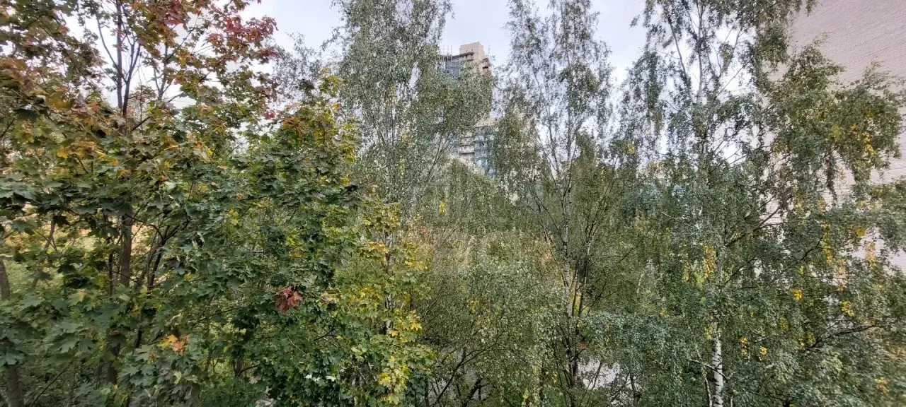 двухкомнатная квартира в Санкт-Петербурге по адресу: Серебристый б-р., 18, к 2, литера а