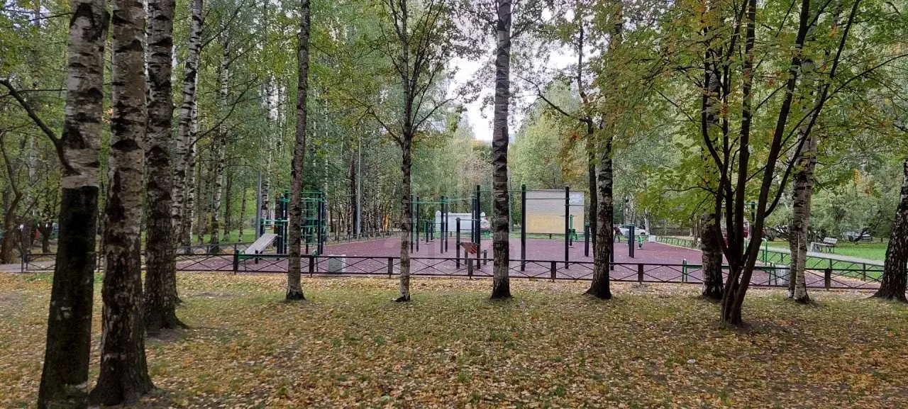 двухкомнатная квартира в Санкт-Петербурге по адресу: Серебристый б-р., 18, к 2, литера а