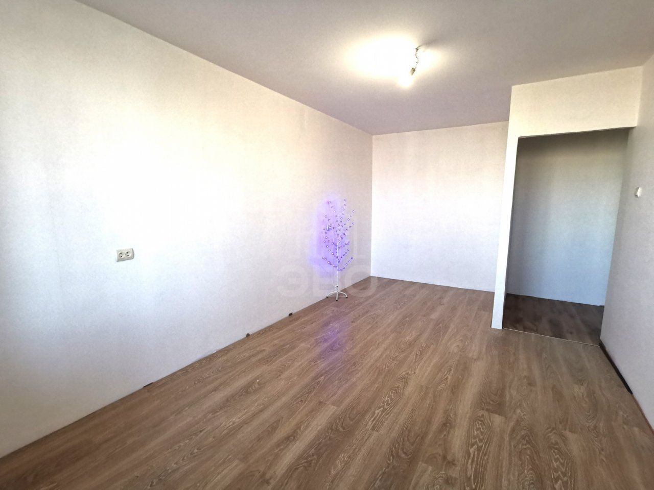 однокомнатная квартира в Санкт-Петербурге по адресу: Энгельса проспект, 150, к 1