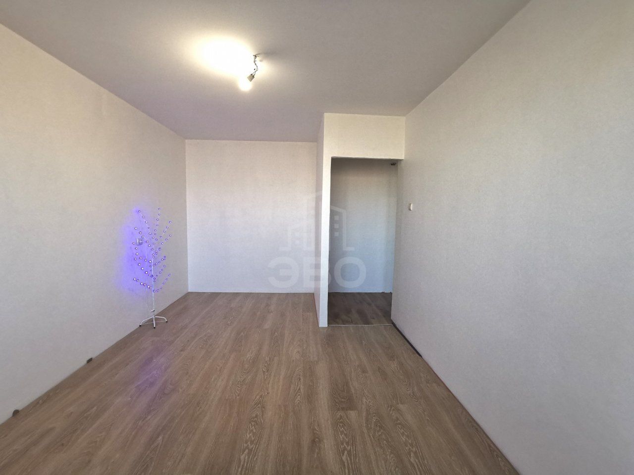 однокомнатная квартира в Санкт-Петербурге по адресу: Энгельса проспект, 150, к 1