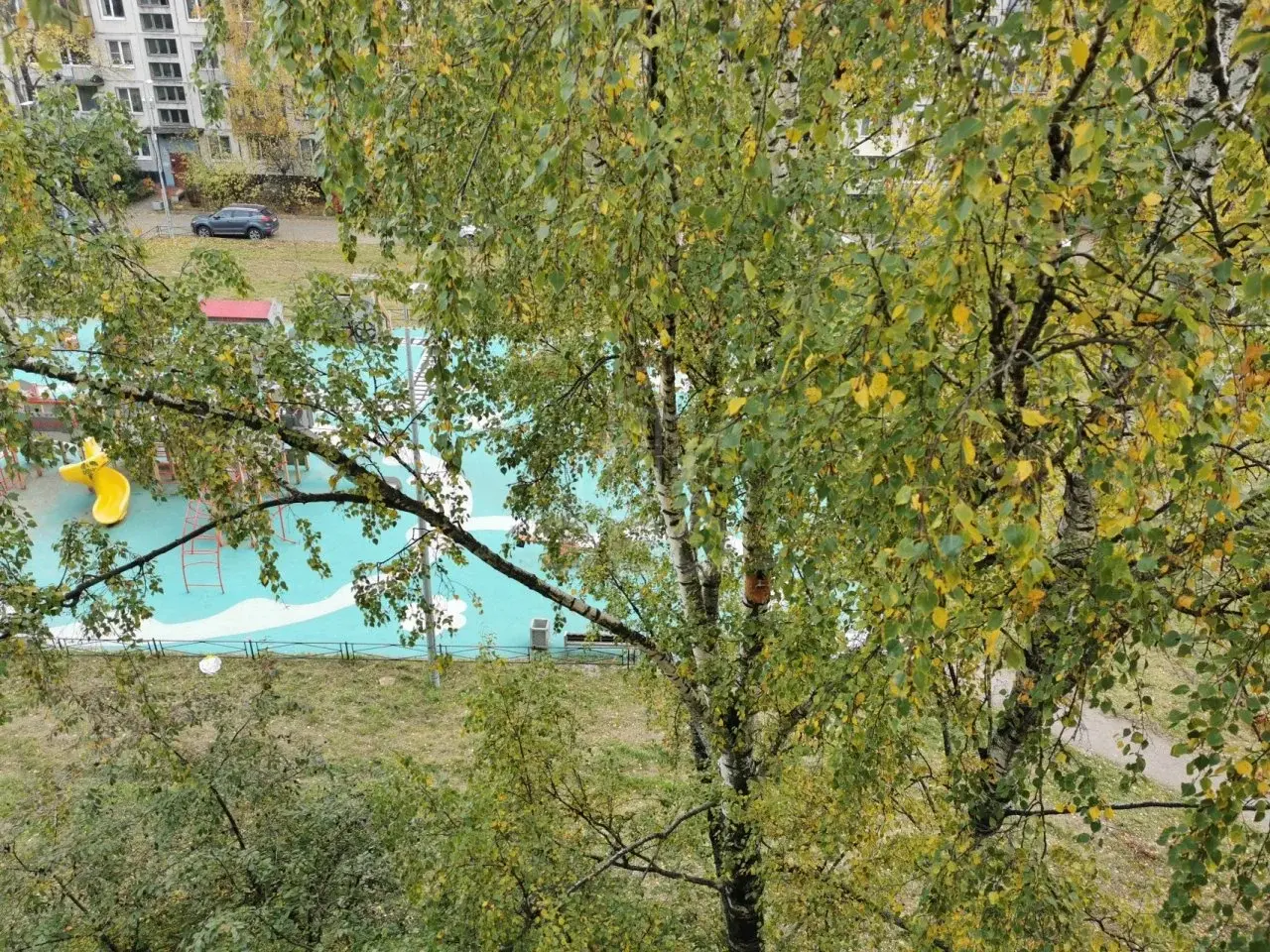 трехкомнатная квартира в Санкт-Петербурге по адресу: Козлова ул., 51, к 2, литера А