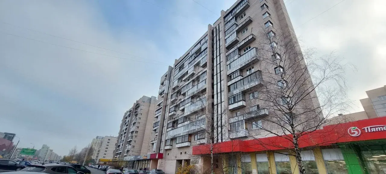 двухкомнатная квартира в Санкт-Петербурге по адресу: Просвещения проспект, 75