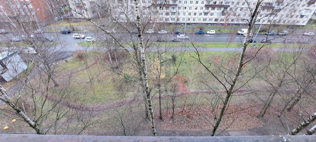 трехкомнатная квартира в Санкт-Петербурге по адресу: Ушинского ул., 18