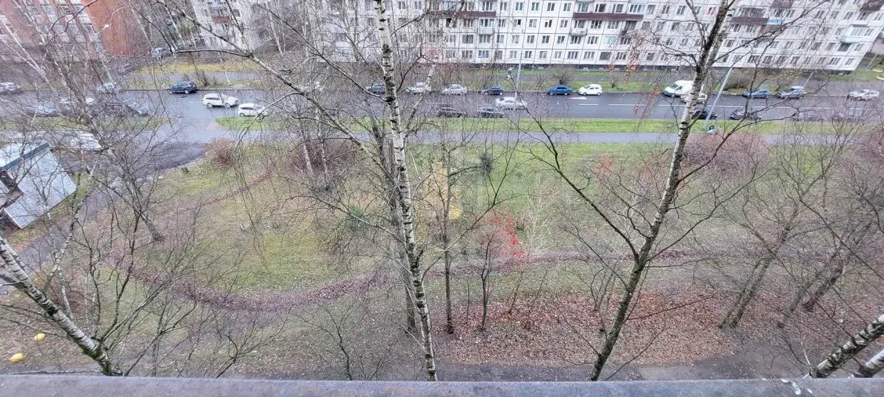трехкомнатная квартира в Санкт-Петербурге по адресу: Ушинского ул., 18