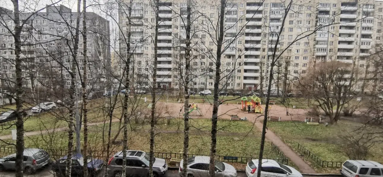 двухкомнатная квартира в Санкт-Петербурге по адресу: Энгельса проспект, 129, к 3