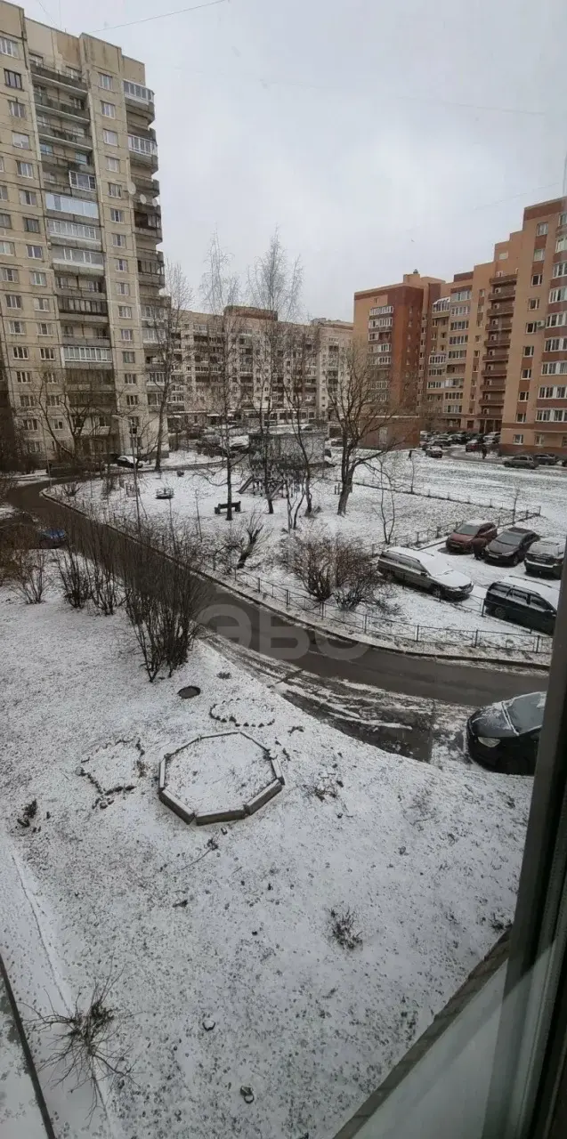 двухкомнатная квартира в Санкт-Петербурге по адресу: Культуры проспект, 19