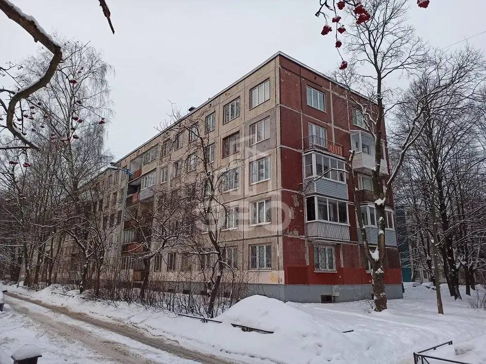 комната в Санкт-Петербурге по адресу: Вавиловых ул., 15, к 3