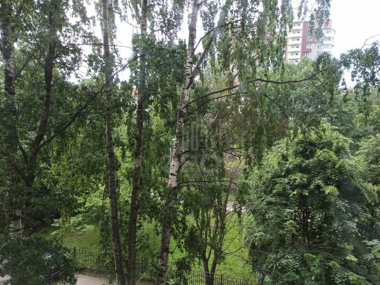 комната в Санкт-Петербурге по адресу: Вавиловых ул., 15, к 3