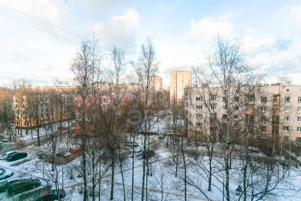 однокомнатная квартира в Санкт-Петербурге по адресу: Дачный проспект, 38, к 1, литера А