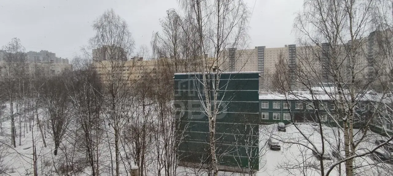 однокомнатная квартира в Санкт-Петербурге по адресу: Просвещения проспект, 7, к 2, литера а