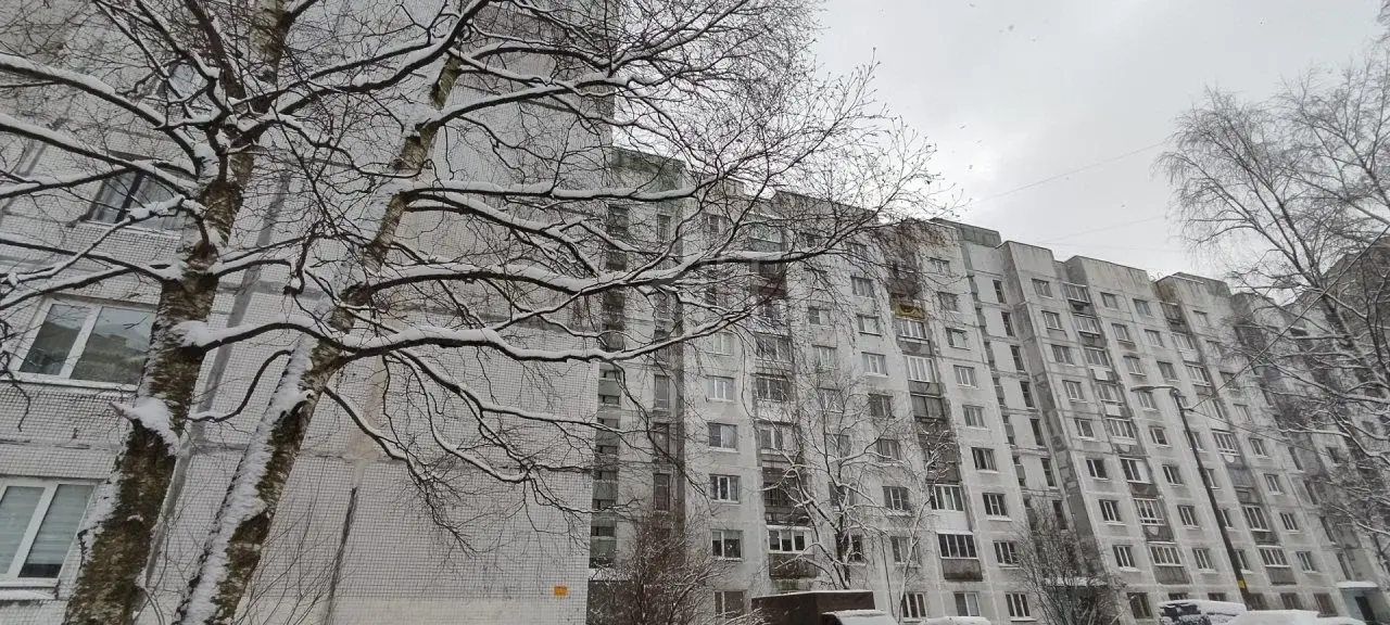однокомнатная квартира в Санкт-Петербурге по адресу: Просвещения проспект, 7, к 2, литера а