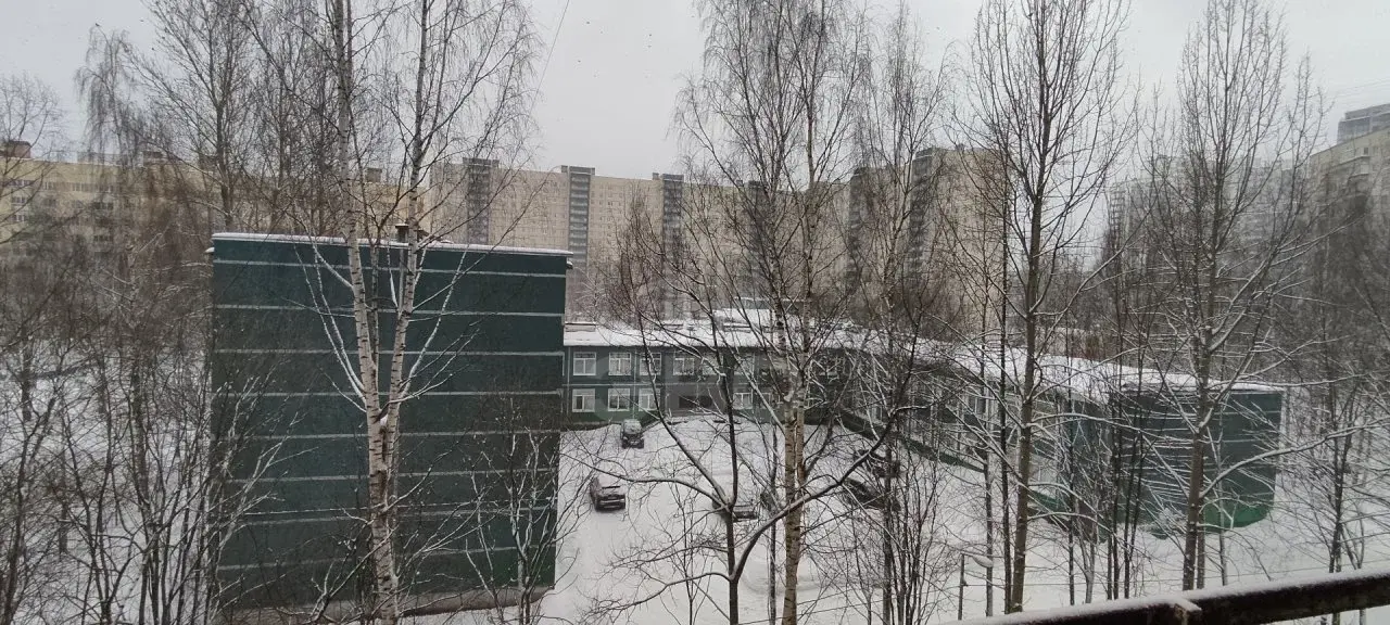 однокомнатная квартира в Санкт-Петербурге по адресу: Просвещения проспект, 7, к 2, литера а
