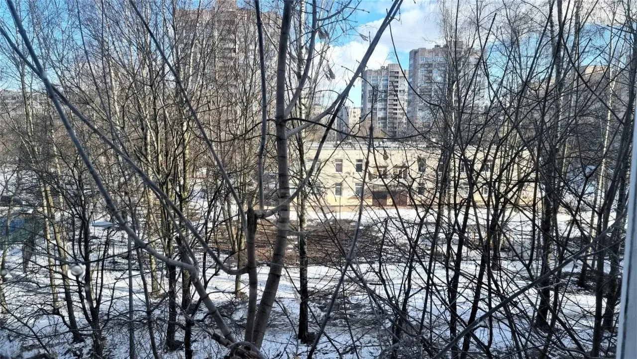 однокомнатная квартира в Санкт-Петербурге по адресу: Руднева ул., 19, к 1
