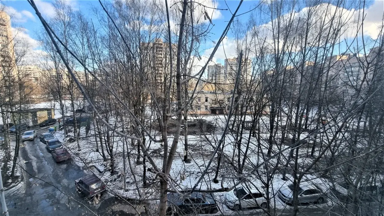 однокомнатная квартира в Санкт-Петербурге по адресу: Руднева ул., 19, к 1