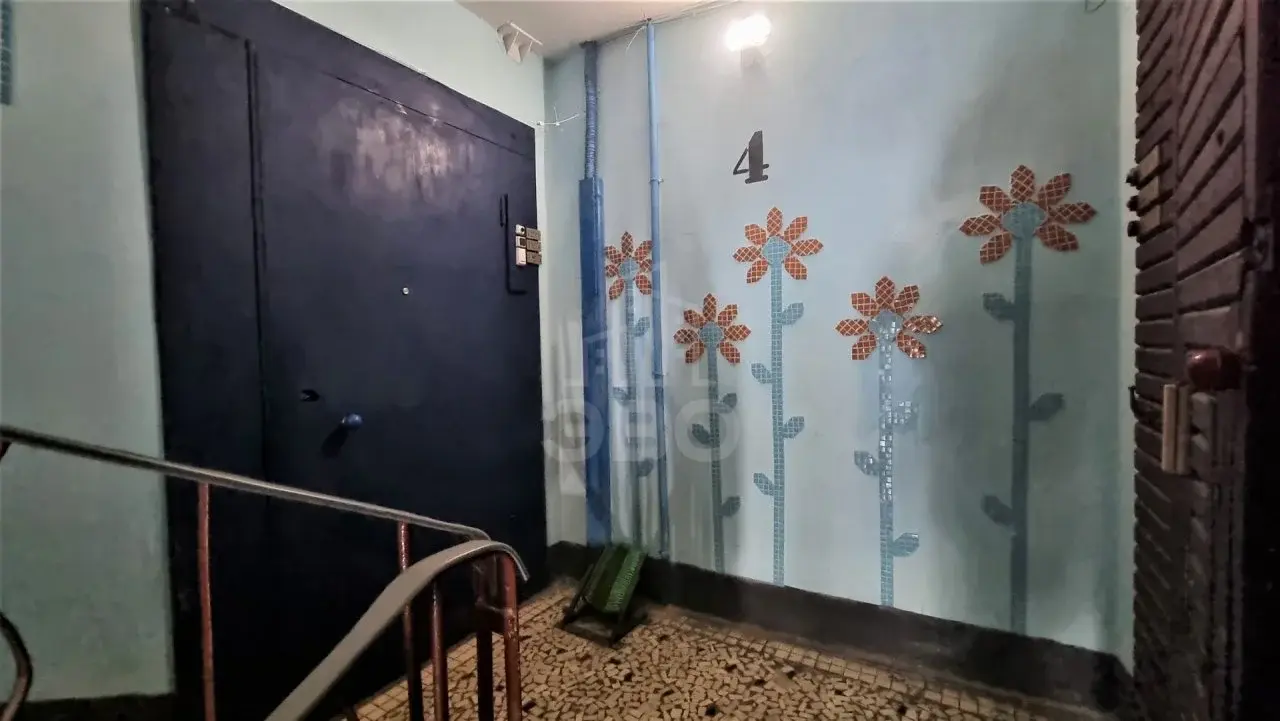 однокомнатная квартира в Санкт-Петербурге по адресу: Руднева ул., 19, к 1