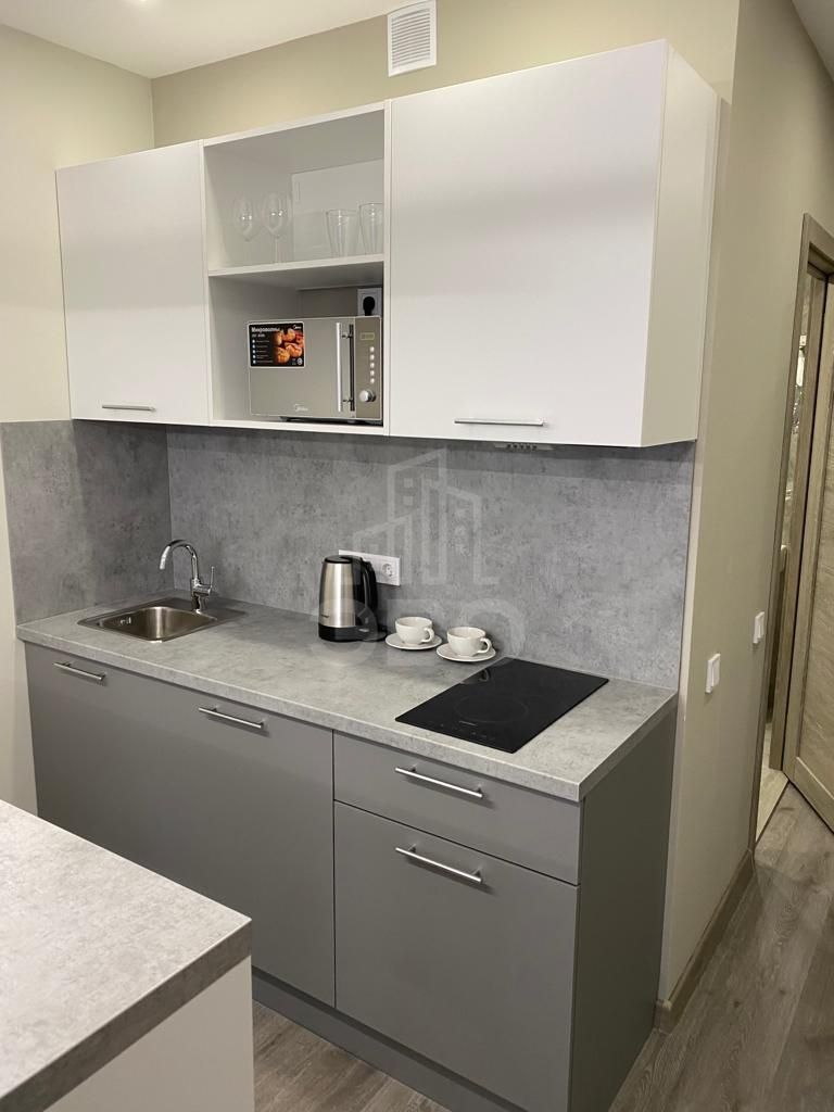 однокомнатная квартира в Санкт-Петербурге по адресу: Витебский проспект, 101, к 1