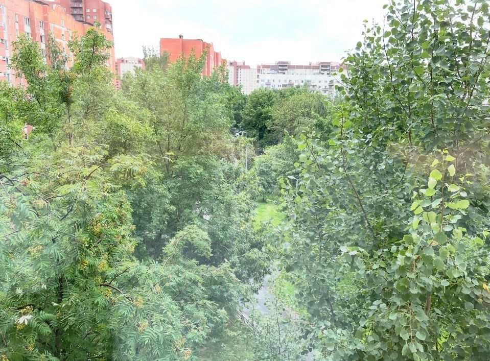 двухкомнатная квартира в Санкт-Петербург по адресу: Королёва проспект, 48, к 3