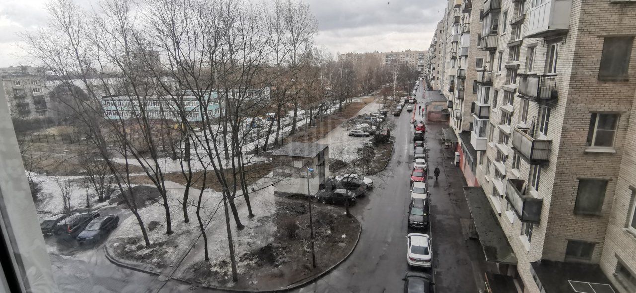 однокомнатная квартира в Санкт-Петербурге по адресу: Типанова ул., 29